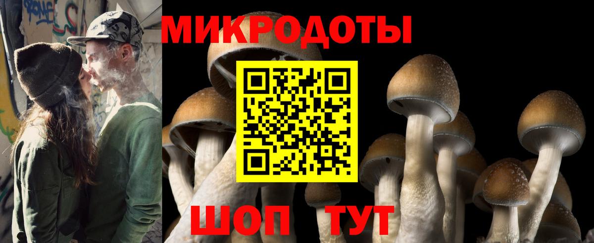 купить  цена  Вход с VPN  Сухой Лог  Галлюциногенные грибы Psilocybine cubensis  Псилоцибиновые грибы Psilocybe 